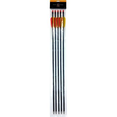 Poe Lang 28" Fiberglass Arrows - Set of 5 (D-055-B3)