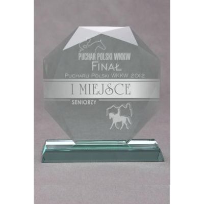 9. Engraved glass trophy with case
