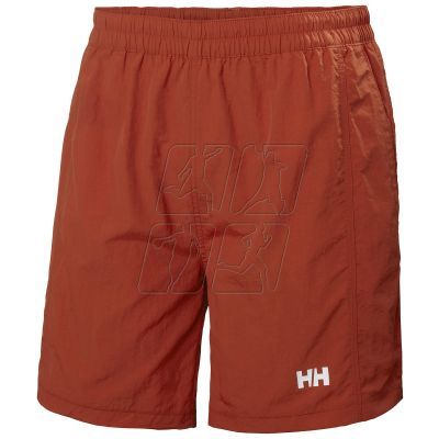 3. Helly Hansen Calshot Trunk M 55693 308 swimming shorts