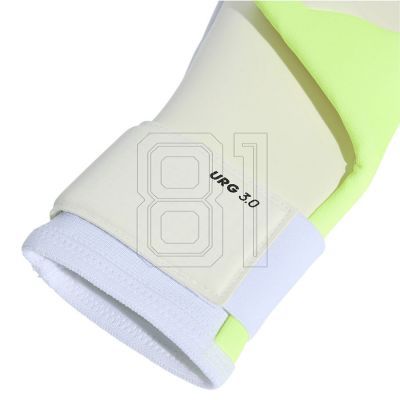 3. adidas Predator GL LGE JN5370 Gloves