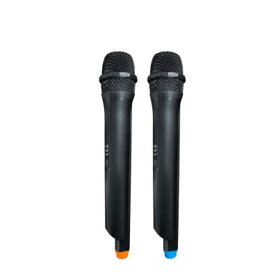 6. PartyBox Blaupunkt PB10DB (Bluetooth and karaoke)
