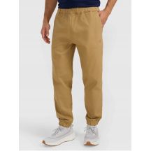 Men's jogger sweatpants 4F 4FRMM00TTROM1627-83S