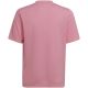 3. Adidas Entrada 22 Graphic Jersey Jr HC2632