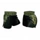 2. Training Masters Shorts Junior Mfc &quot;Mine&quot; Jr 06692-140