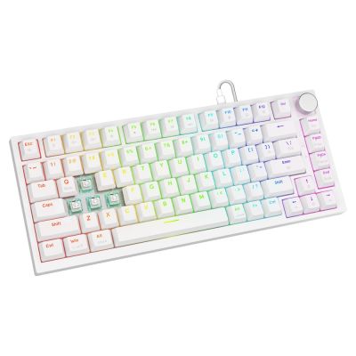 14. SAVIO MECHANICAL KEYBOARD ASTRAL WHITE OUTEMU WHITE JADE RGB