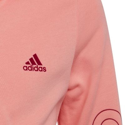 3. adidas Jr HE1968 sweatshirt
