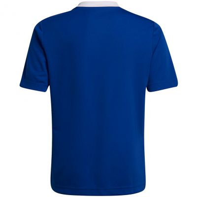 2. Adidas Entrada 22 Jsy Jr T-shirt HG3948