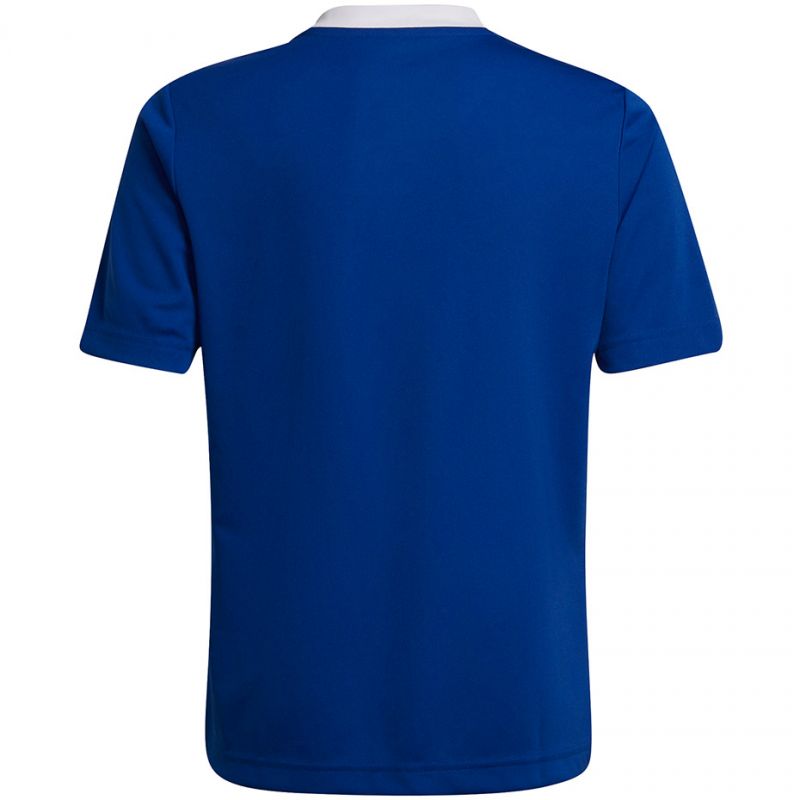 2. Adidas Entrada 22 Jsy Jr T-shirt HG3948