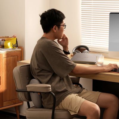 9. Baseus ComfortRide car lumbar pillow - gray