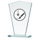 3. Engraved glass trophy + paint filling