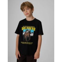 Boy's regular printed T-shirt 4F 4FJKAW26TTSHM4456-20S