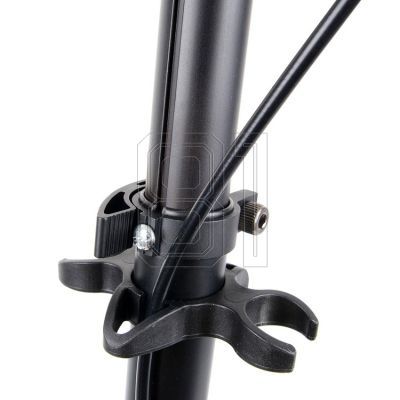 7. Tempish Nixin 125 II Jr scooter 10500002321
