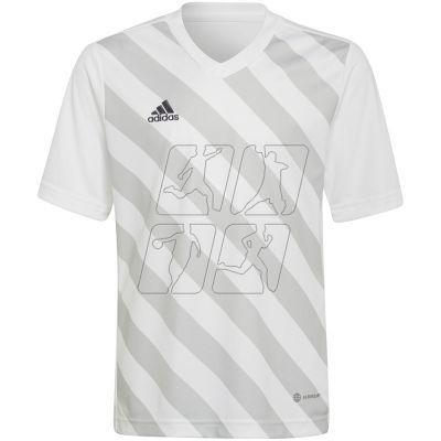 7. Adidas Entrada 22 Graphic Jersey Jr HF0120