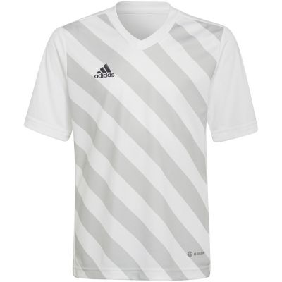 7. adidas Entrada 22 Graphic Jersey Jr HF0120