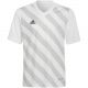 7. Adidas Entrada 22 Graphic Jersey Jr HF0120