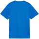 4. Puma TeamGoal Jersey for kids blue 658637 02
