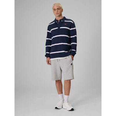 3. Men's longleeve relaxed polo 4F 4FRSS26TLONM675-31S