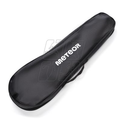 15. Meteor Motion 4 20077 badminton set