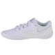 6. Nike Cheer Sideline IV W 943790-100 shoes