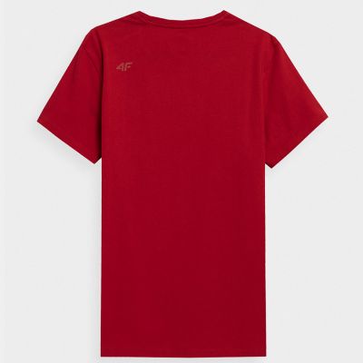 2. T-shirt 4F M 4FSS23TTSHM536 62S