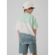 2. Boy's cotton T-shirt 4F 4FJRSS26TTSHM4172-90A
