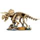 32. LEGO Jurassic World 77985 - Dinosaur Skeletons: Triceratops