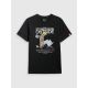 5. Men's regular printed T-shirt 4F 4FRSS26TTSHM3811-20S