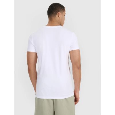 3. Slim men's t-shirt (2-pack) men's 4F 4FRMM00TTSHM3068-10S