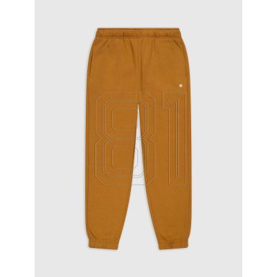 2. Champion M 219424 MS531 pants