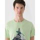 2. Men's regular printed T-shirt 4F 4FRAW24TTSHM2301-41S