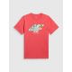 5. Men's regular printed T-shirt 4F 4FRSS26TTSHM4305-63S