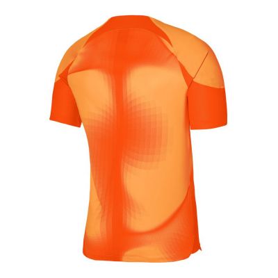 2. Nike Dri-FIT ADV Gardien 4 M Goalkeeper Jersey DH7760-819