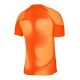2. Nike Dri-FIT ADV Gardien 4 M DH7760-819 goalkeeper jersey