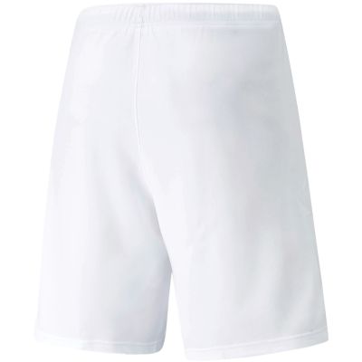 4. Puma teamRISE Shorts M 704942 03