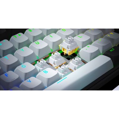 12. HATOR Skyfall Pro Wireless 80 Gaming Keyboard USB + RF Wireless + Bluetooth QWERTY US English Black, Gray