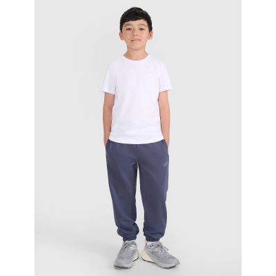 3. Boy's regular plain T-shirt 4F 4FJRMM00TTSHM3254-10S