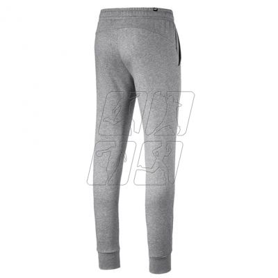 2. Pants Puma ESS Logo FL CL M 851753 03 gray