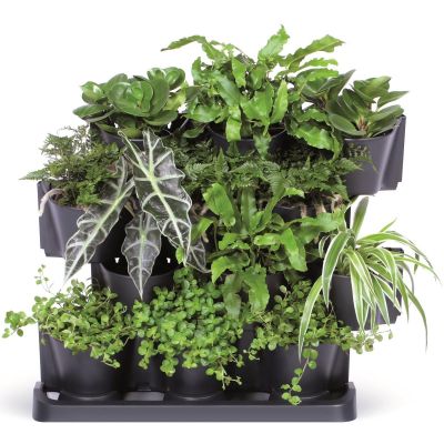 50. VERTICAL GARDEN FLOWER BED STANDING ANTHRACITE