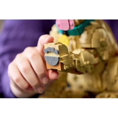 12. LEGO 11384 Icons - Golden Retriever Puppy