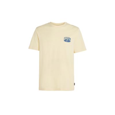 6. O'Neill Beach Graphic T-Shirt M 92800613972