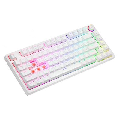 8. SAVIO WIRELESS MECHANICAL KEYBOARD PHENIX WHITE GATERON RED PRO ABS