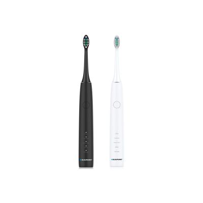 Blaupunkt DTS201SET electric toothbrush set, 2 pieces