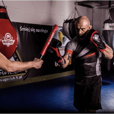 19. 10oz Boxing Gloves - Blaze Red - Legacy Series