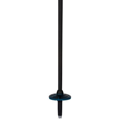 5. ROSSIGNOL Electra Premium Carbon Ski Poles - Black and Blue