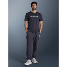 Men's jogger sweatpants 4F 4FRAW25TTROM1694-22S
