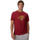 Men’s T-Shirt 4F M3558 Dark Red 4FWAW26TTSHM3558 61S