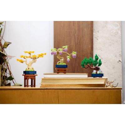 4. LEGO 10373 Botanical Collection - Small Bonsai Trees