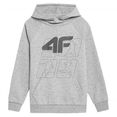 2. Sweatshirt 4F Jr 4FJSS23TSWSM220 cool light gray