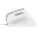 2. Trust BAYO II ERGONOMIC White Mouse