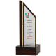 8. Engraved plastic trophy